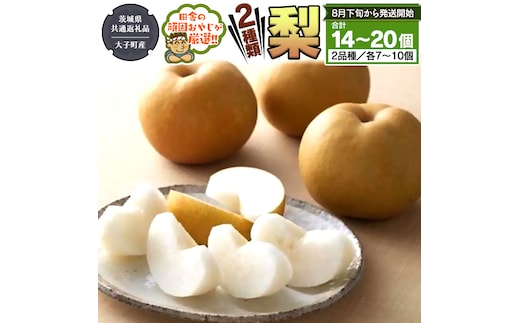 梨 2種 セット 【2026年8月下旬より発送開始】 （茨城県共通返礼品 [梨]：大子町産） 田舎の頑固おやじが厳選！