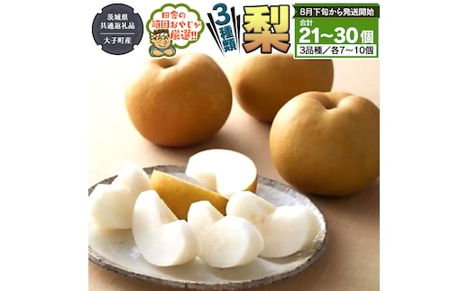 梨 3種 セット 【2026年8月下旬より発送開始】 （茨城県共通返礼品 [梨]：大子町産） 田舎の頑固おやじが厳選！ なし 果物 フルーツ 美味しい [BI334-NT]