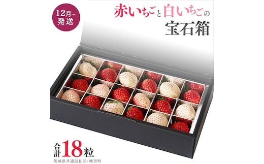 赤いちごと白いちごの宝石箱 18粒 【12月から発送開始】（茨城県共通返礼品 [いちご]：城里町産）田舎の頑固おやじが厳選！ 果物 フルーツ いちご イチゴ 苺 白苺 贈答 ギフト [BI335-NT]