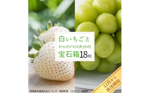 白いちご と シャインマスカット の 宝石箱 18粒 【12月から発送開始】（茨城県共通返礼品 [いちご]：城里町産 [ぶどう]：結城市） 果物 フルーツ いちご イチゴ 白苺 ぶどう マスカット ギフト プレゼント [BI344-NT]