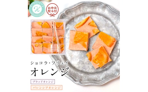 【お中元熨斗付】 ショコラフリュイ オレンジ チョコレート チョコ スイーツ デザート 高級 ギフト 贈り物 お礼 プレゼント 手土産 お菓子 [DJ38-NT]
