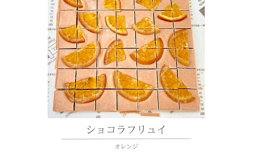 ショコラフリュイ オレンジ チョコレート チョコ スイーツ デザート 高級 ギフト 贈り物 お礼 プレゼント 手土産 お菓子 [DJ37-NT]