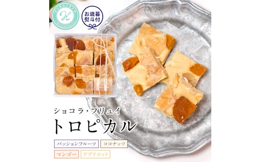 【お歳暮熨斗付】 ショコラフリュイ トロピカル チョコレート チョコ スイーツ デザート 高級 ギフト 贈り物 お礼 プレゼント 手土産 お菓子 [DJ30-NT]