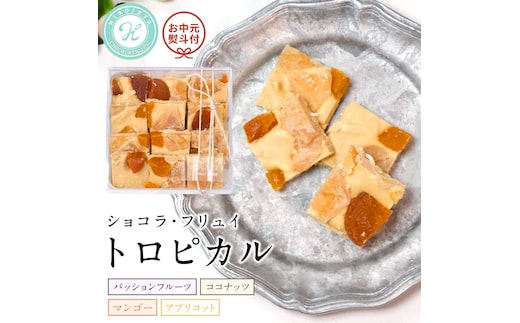 【お中元熨斗付】 ショコラフリュイ トロピカル チョコレート チョコ スイーツ デザート 高級 ギフト 贈り物 お礼 プレゼント 手土産 お菓子 [DJ29-NT]