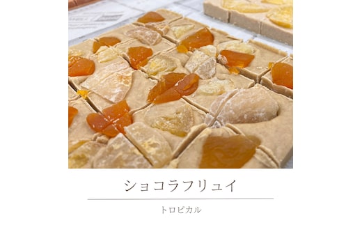 ショコラフリュイ トロピカル チョコレート チョコ スイーツ デザート 高級 ギフト 贈り物 お礼 プレゼント 手土産 お菓子 [DJ28-NT]