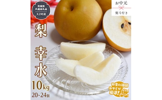 【 お中元 熨斗付 】幸水10kg （20～24個） 【2026年8月より発送開始】 （茨城県共通返礼品 [梨]：大子町産） 梨 幸水 フルーツ 果物 旬 [BI383-NT]
