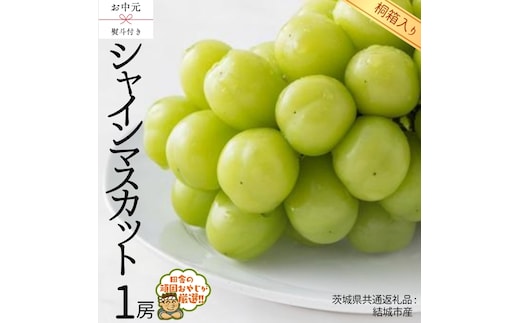 【 お中元 熨斗 付 】【 桐箱入り 】シャインマスカット1房 【2026年8月より発送開始】（茨城県共通返礼品 [ぶどう]：結城市産） シャインマスカット ぶどう 果物 フルーツ 季節 旬 [BI403-NT]
