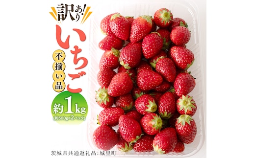 【訳あり】いちご 1kg 【1月から発送開始】（茨城県共通返礼品 [いちご]：城里町産） いちご 苺 イチゴ 訳あり [BI368-NT]