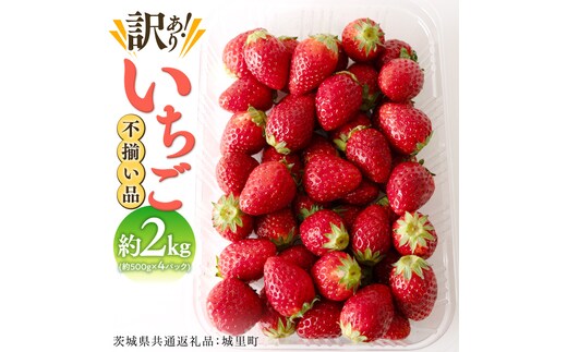【訳あり】いちご 2kg（500g×4パック）【1月から発送開始】（茨城県共通返礼品 [いちご]：城里町産） 果物 フルーツ 苺 イチゴ 不揃い わけあり 先行予約 家庭用 アレンジ お菓子作り スイーツ [BI369-NT]