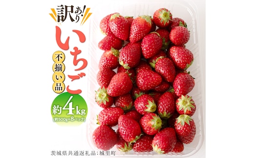 【訳あり】いちご 4kg【1月から発送開始】 （茨城県共通返礼品 [いちご]：城里町産） いちご 苺 イチゴ 訳あり [BI370-NT]