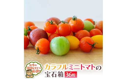 カラフルミニトマト の 宝石箱 36粒 【令和6年1月から発送開始】 トマト ミニトマト カラフル 野菜 フルーツ [BI410-NT]