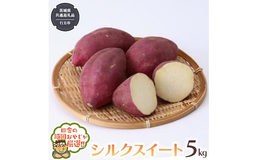 シルクスイート 5kg 【2025年10月から発送開始】（茨城県共通返礼品 [さつまいも]：行方市産） さつまいも シルクスイート 芋 いも 野菜 [BI413-NT]
