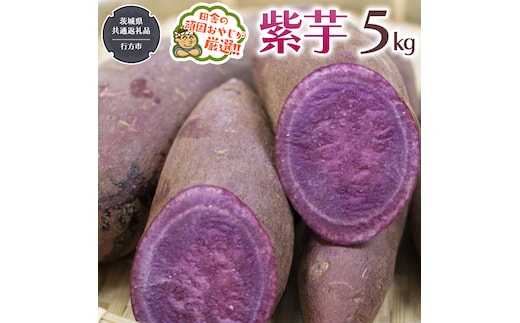 【2026年12月より発送開始】紫芋 5kg （茨城県共通返礼品 [さつまいも]：行方市産） さつまいも 紫芋 芋 いも 野菜 [BI414-NT]