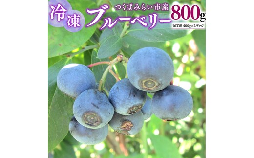 つくばみらい市 産 冷凍 ブルーベリー 800g ( 400g ×2パック ) 国産 農薬無使用 自家農場 果物 就労継続支援 フルーツ おいしい 冷凍ブルーベリー フリーズ [DG02-NT］