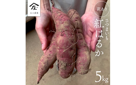 【 訳あり 】 さつまいも ！ 紅はるか 5kg サツマイモ 芋 いも べにはるか 茨城 美味しい おいしい ワケアリ 訳アリ 規格外 不揃い [BK09-NT]