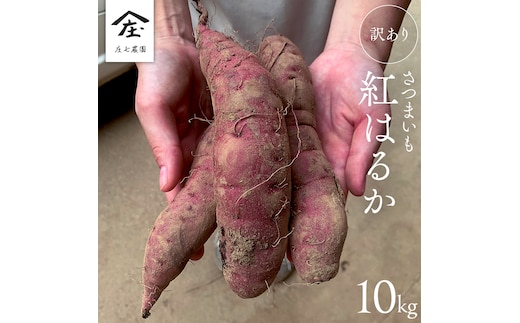 【 訳あり 】 さつまいも ！ 紅はるか 10kg サツマイモ 芋 いも べにはるか 茨城 美味しい おいしい ワケアリ 訳アリ 規格外 不揃い [BK10-NT]