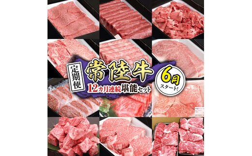 【定期便】【令和8年6月スタート】【全12回】『常陸牛』人気12か月堪能セット（12か月連続でお届け）お肉 肉 牛肉 ステーキ ハンバーグ サーロイン 赤身 切り落とし 霜降り カルビ [BX111-NT]