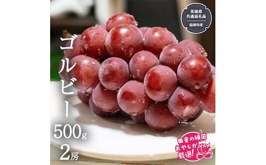 ゴルビー 500g ×2房【2026年9月より発送開始】（茨城県共通返礼品 [ぶどう]：結城市産） ぶどう ブドウ 葡萄 果物 フルーツ 茨城県産 [BI423-NT]