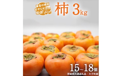 柿 3kg（15〜18個）【2025年10月より発送開始】（茨城県共通返礼品：大子町産）柿 かき カキ 果物 フルーツ 茨城県産 [BI428-NT]