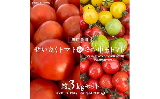 野口農園 ！ ぜいたく トマト ＆ ミニトマト ＆ 中玉 セット （合計 約 3 kg ） トマト ミニトマト プチぷよ フルティカ アイコ 華クイン 新鮮 美味しい 野菜 [J005-NT]