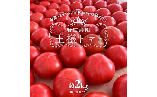 野口農園！ 王様トマト 約2kg ( 8～12個入り )！ ごほうび・麗容・サンロード トマト ごほうび 麗容 サンロード 新鮮 美味しい 野菜 [J007-NT]