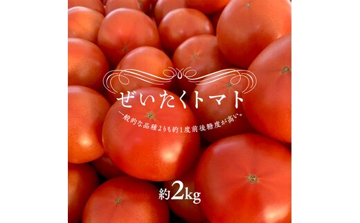ぜいたくトマト！約2kg ( 9個～12個 ) トマト 大玉トマト 新鮮 美味しい 野菜 [J010-NT]