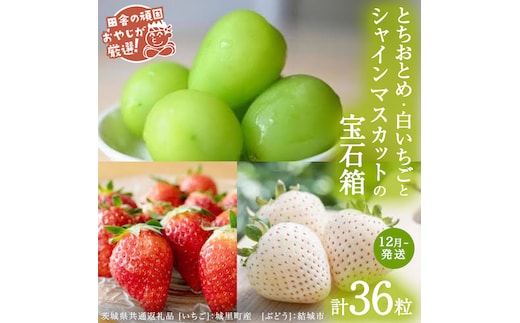 「粒々いちご18粒」とちおとめと白いちごとシャインマスカット【12月より発送開始】（茨城県共通返礼品 [いちご]：城里町産 [ぶどう]：結城市） 詰め合わせ 果物 フルーツ 茨城県産 [BI449-NT]