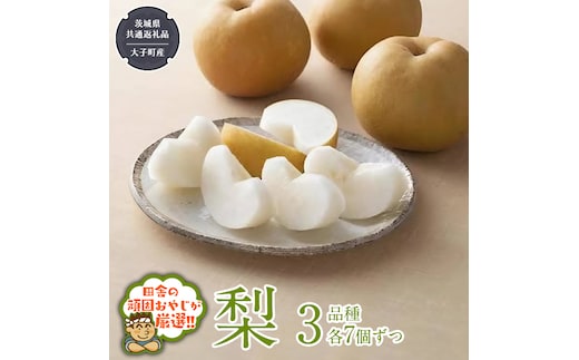 梨 3品種 各7個ずつ【2026年8月より発送開始】（茨城県共通返礼品 [梨]：大子町産）田舎の頑固おやじが厳選！ なし ナシ 果物 フルーツ 茨城県産 [BI454-NT]