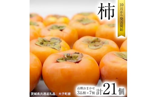 柿 3品種 食べ比べ 各7個ずつ【10月中旬より発送開始】（茨城県共通返礼品：大子町産） 果物 フルーツ 茨城県産 [BI456-NT]