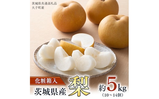 【化粧箱入り】梨 5kg（10〜14個）【2026年8月より発送開始】（茨城県共通返礼品 [梨]：大子町産） なし ナシ 果物 フルーツ 茨城県産 [BI466-NT]