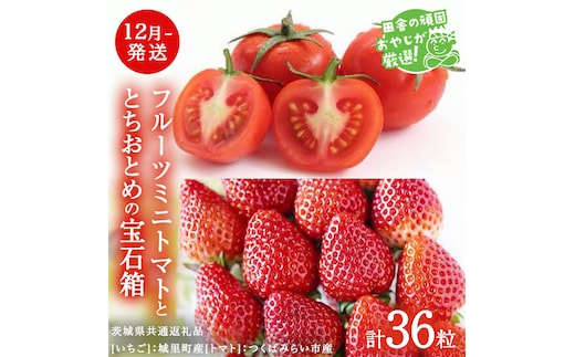 とちおとめ と フルーツミニトマト宝石箱 36粒【1月より発送開始】（茨城県共通返礼品 [いちご]：城里町産 [トマト]：つくばみらい市産） 詰め合わせ 果物 フルーツ 茨城県産 [BI467-N