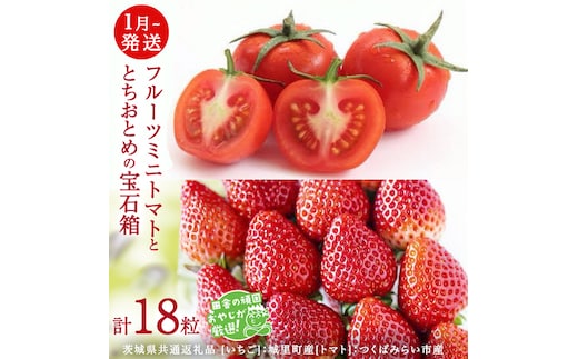 とちおとめ と フルーツミニトマトの宝石箱 18粒【1月から発送開始】（茨城県共通返礼品 [いちご]：城里町産 [トマト]：つくばみらい市産） 詰め合わせ 果物 フルーツ 茨城県産 [BI468-NT]