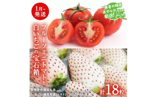  白いちご と フルーツミニトマトの 宝石箱 18粒 【1月から発送開始】（茨城県共通返礼品 [いちご]：城里町産 [トマト]：つくばみらい市産） 詰め合わせ 果物 フルーツ 茨城県産 [BI470-NT]