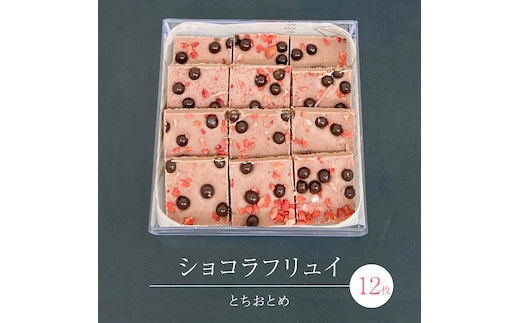 ショコラフリュイ とちおとめ 12枚 チョコレート チョコ スイーツ デザート 高級 ギフト 贈り物 お礼 プレゼント 手土産 お菓子 [DJ49-NT]