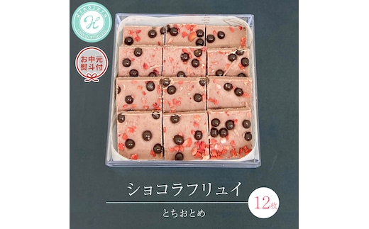【 お中元 熨斗 付】 ショコラフリュイ とちおとめ 12枚 チョコレート チョコ スイーツ デザート 高級 ギフト 贈り物 お礼 プレゼント 手土産 お菓子 [DJ50-NT]