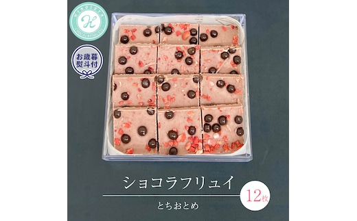 【 お歳暮 熨斗 付】 ショコラフリュイ とちおとめ 12枚 チョコレート チョコ スイーツ デザート 高級 ギフト 贈り物 お礼 プレゼント 手土産 お菓子 [DJ51-NT]