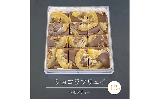 ショコラフリュイ レモンティー 12枚 チョコレート チョコ スイーツ デザート 高級 ギフト 贈り物 お礼 プレゼント 手土産 お菓子 [DJ55-NT]