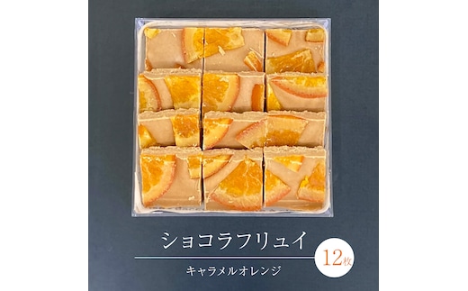ショコラフリュイ キャラメルオレンジ 12枚 チョコレート チョコ スイーツ デザート 高級 ギフト 贈り物 お礼 プレゼント 手土産 お菓子 [DJ58-NT]