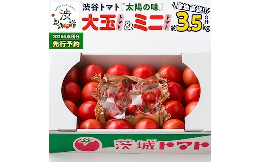 【 2026年 収穫分 先行予約 】 -太陽の味- 渋谷トマト 大玉トマト・ミニトマト詰め合わせ 約3.5kg 2026年1月5日～発送開始 トマト ミニトマト 茨城 産地直送 農家直送リコピン ビタミン 有機肥料 野菜 甘い 直売所 [EL01-NT]