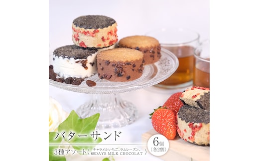 バターサンド 3種アソート チョコレート チョコ バターサンド バタークリーム スイーツ デザート 高級 ギフト 贈り物 お礼 プレゼント 手土産 お菓子 [DJ66-NT]