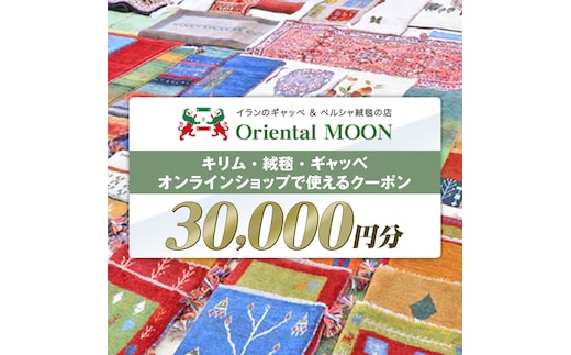 キリム ・ 絨毯 ・ ギャッベ オンライン クーポン 30000円分 ラグ 手織り 最高級 天然 玄関 じゅうたん カーペット オリエンタルアート [BP264-NT]