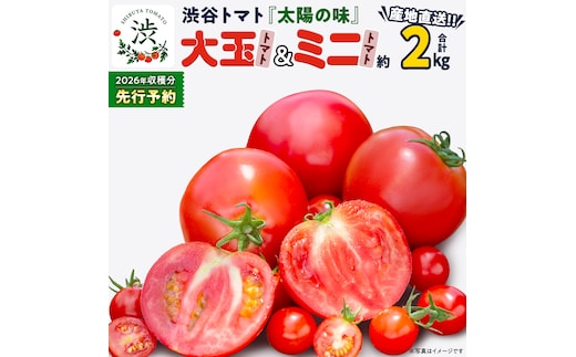 【 2026年 収穫分 先行予約 】 -太陽の味- 渋谷トマト 大玉トマト・ミニトマト詰め合わせ 約2kg 2026年1月5日～発送開始 トマト ミニトマト 茨城 産地直送 農家直送リコピン ビタミン 有機肥料 野菜 甘い 直売所 [EL04-NT]