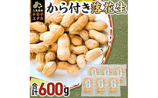 から付き落花生 600g （100g×6袋） 煎りざや落花生 おつまみ おやつ ピーナッツ 殻付き ナカテユタカ [EH22-NT]