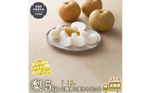 【定期便】梨 5kg（7〜12個）品種移り変わりセット【2026年8月より3か月連続で発送】（茨城県共通返礼品 [梨]：大子町産） なし ナシ 果物 フルーツ 茨城県産 [BI435-NT]