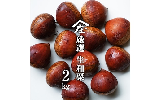 厳選 生和栗 2kg 【庄七農園】 栗 果樹 生栗 栗ご飯 渋皮煮 甘露煮 マロングラッセ フルーツ 茨城県 和栗 [BK41-NT]