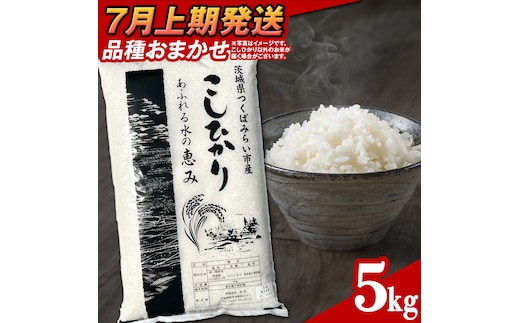 【 7月上期発送 / 数量限定 】茨城県つくばみらい市産 精米 5kg (品種おまかせ） 令和6年産 こしひかり 米 コメ こめ 単一米 限定 茨城県産 国産 美味しい お米 おこめ おコメ
