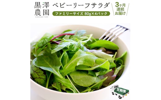 【 定期便 】3か月連続でお届け！ 黒澤農園 の ベビーリーフサラダ （ 80g × 4パック ）ファミリーサイズ ベビーリーフ サラダ 生野菜 食べやすい 若葉 ファミリー 旬 新鮮 国産 彩り 頒布会 野菜 葉野菜 国産 直送 定期 [DS04-NT]