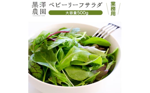 【 業務用 】 黒澤農園 の ベビーリーフサラダ 500g 大容量タイプ 業者向け ベビーリーフ サラダ 生野菜 食べやすい 若葉 ファミリー 旬 新鮮 国産 彩り パーティー 大量 お得パック [DS06-NT]