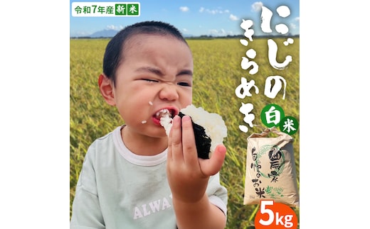 ＜ 新米 ＞ 令和7年産 茨城県産 白米 にじのきらめき 5kg 【2025年9月下旬より発送開始】 国産 茨城産 茨城県産米 つくばみらい市 精米 お米 こめ おこめ ごはん ご飯 白飯 ゴハン 生活応援 ふるさと おすすめ ツヤツヤ もっちり ふっくら 甘み 柔らかい 大粒 粘り 美味しい おいしい おむすび お弁当 和食 お取り寄せ 防災 備蓄 [DD100-NT]
