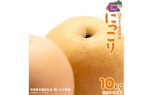 にっこり 梨 10kg （16～20玉）【2026年10月より発送開始】（茨城県共通返礼品 [梨]：大子町産） なし 旬 お取り寄せ フルーツ 甘い ジューシー 和梨 時期 [FC10-NT]